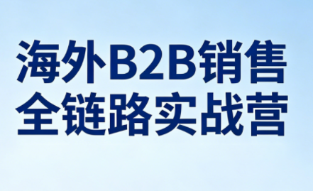 雨哥·海外B2B销售全链路实战营选优云网创选优云网创