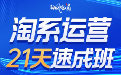 白凤电商·淘系运营21天速成班(更新4月)选优云网创选优云网创