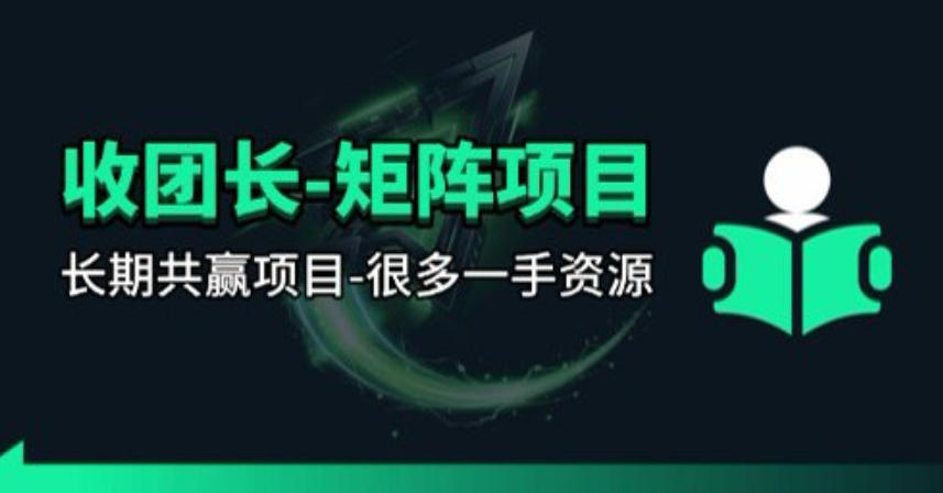【团长合作】视频矩阵项目_招发手矩阵+剪辑师,共赢项目【揭秘】选优云网创选优云网创