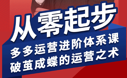 海神·拼多多运营进阶系统课(更新2026)选优云网创选优云网创