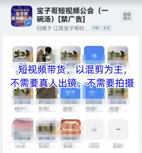 宝子哥头部团队短视频带货,以混剪为主,不需要真人出镜,不需要拍摄【更新26年3月】选优云网创选优云网创