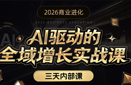 安先生·AI驱动的全域增长实内容配图