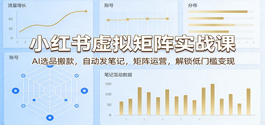 小红书虚拟矩阵实战课:AI选品搬款,自动发笔记,矩阵运营,解锁低门槛变现选优云网创选优云网创