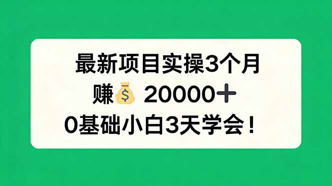 最新项目实操3个月,赚钱20000+,0基础小白3天学会!选优云网创选优云网创