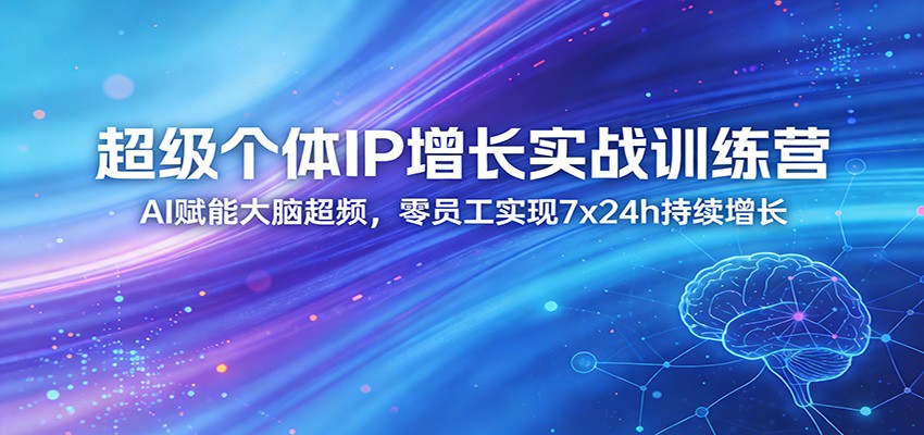 超级个体IP增长实战训练营:AI赋能大脑超频,零员工实现7x24h持续增长(更新)选优云网创选优云网创