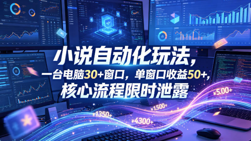 小说挂G自动化玩法,一台电脑30+窗口,单窗口收益50+,核心流程限时泄露【揭秘】选优云网创选优云网创