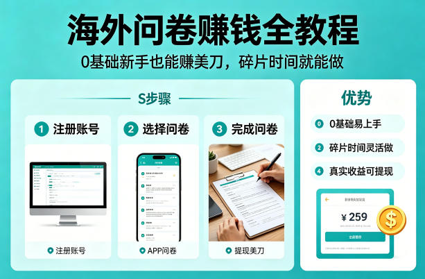 海外问卷賺钱全教程，0基础新手也能賺美刀，碎片时间就能做选优云网创选优云网创