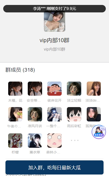 付费进群PLUS版源码【不是泛滥的版本】选优云网创选优云网创
