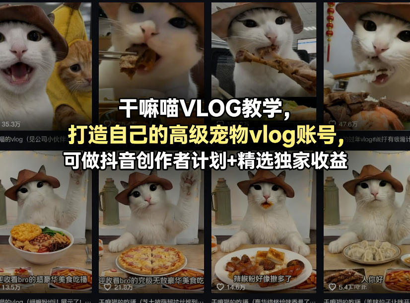 干嘛喵VLOG教学,打造自己的高级宠物vlog账号,可做抖音创作者计划+精选独家收益选优云网创选优云网创