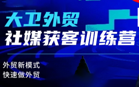 大卫老师·外贸社媒获客独家训练营(更新4月)选优云网创选优云网创
