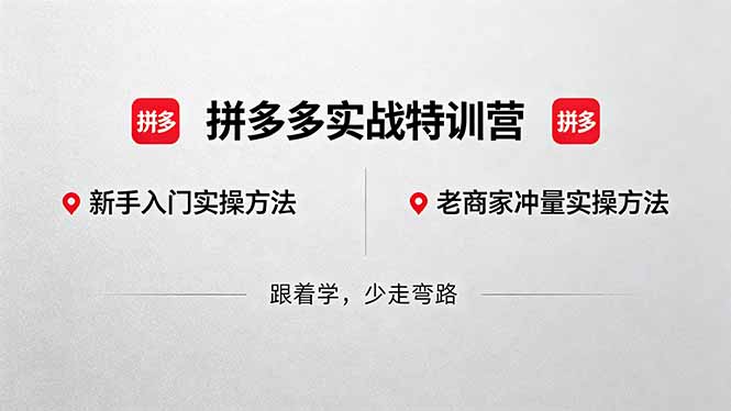 拼多多实战特训营(更新5月3选优云网创选优云网创
